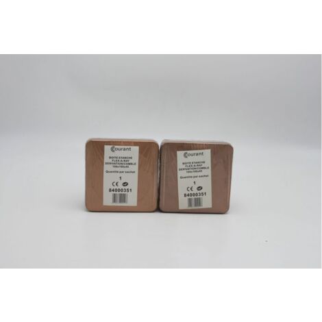 Boite de dérivation étanche FLEX A RAY, 100 x 100 x 45mm
