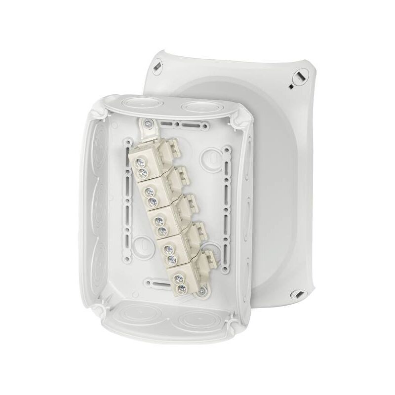 Hensel - 62000010 Boîte de dérivation (l x l x h) 77 x 180 x 130 mm gris clair (ral 7035) IP66 (étanchéite des platines frontales) 1 pc(s) C580971