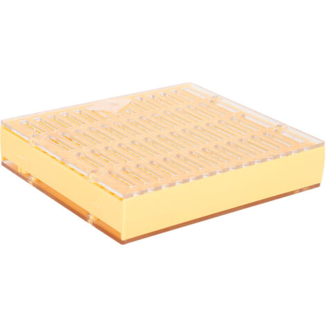 Boîte d'Élevage d'Abeilles en Plastique, Incubateur pour Reine, Outil Apicole Écologique et Mobile