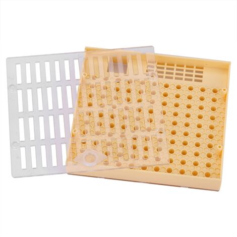 Boîte d'élevage de reines Bee Queen avec cupules pour système Cupularve - Matériel apicole
