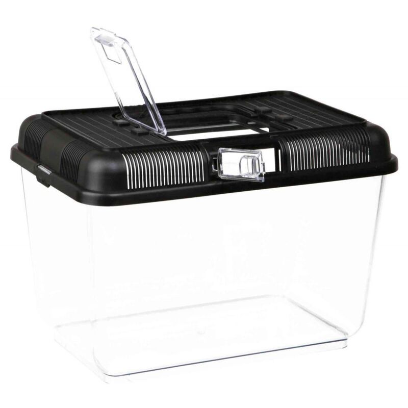 Boîte alimentaire et de transport 31 × 21 × 21 cm