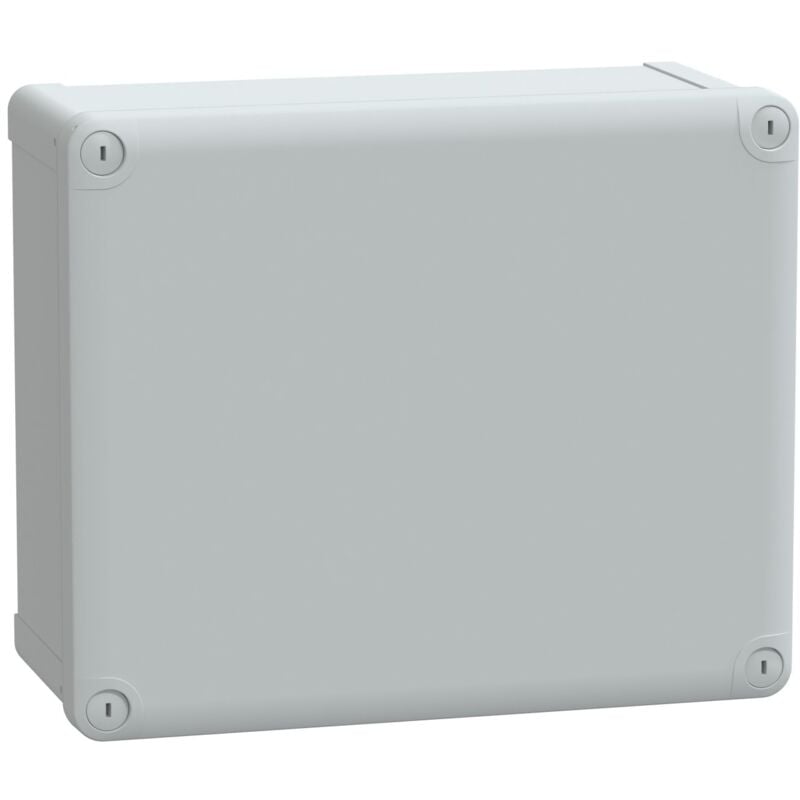Schneider Electric - Thalassa - boîte industrielle - 291x241x128mm - abs - NSYTBS292412