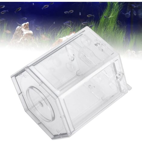 Boîte Lumineuse Créative à Six Faces Rotative Transparente pour Micro-Paysage Décoratif-AUTRES