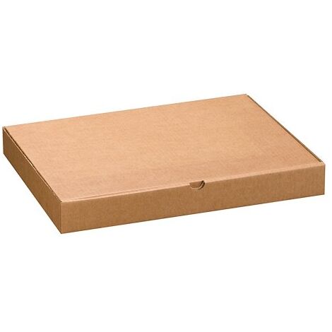 Boîte postale extra plate format A3 - 43 x 31 x 5 cm - Lot de 50