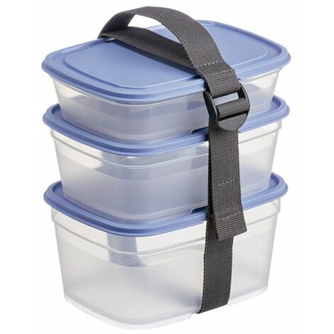 boites alimentaires carrees (lot 3) myrtille+strap