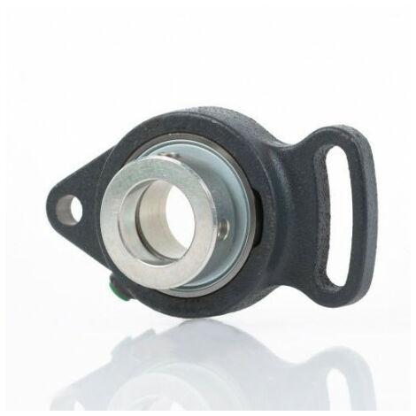 Boîtier de serrage GEHSFT04 GG 47mm Fonte grise (SFT) INA