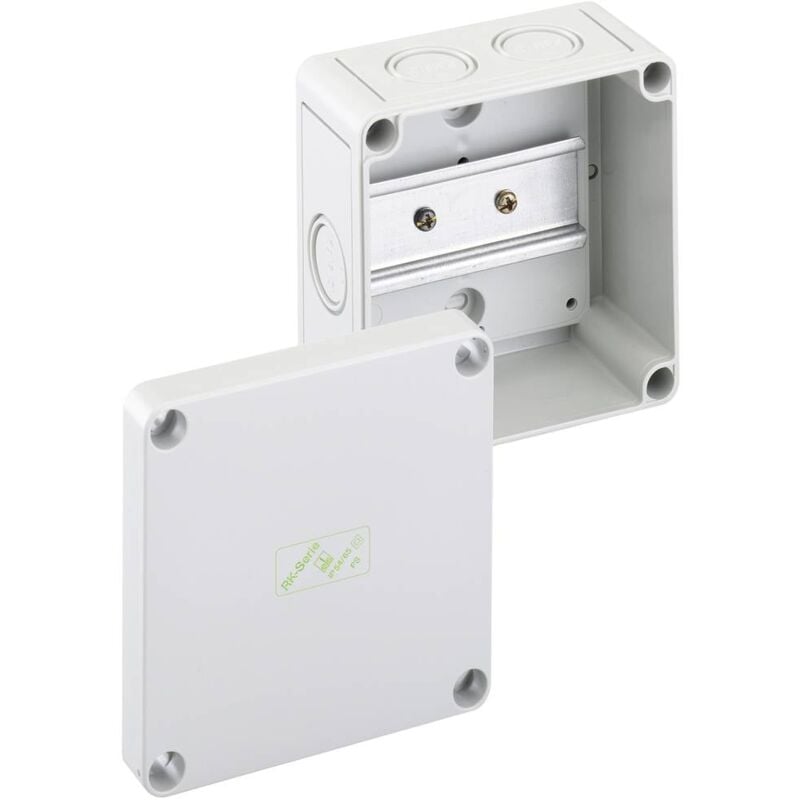 Spelsberg - Boîtier pour bloc de jonction rk 4/07-L 61990701 gris 110 x 110 x 90 Polystyrène expansé (eps) 1 pc(s)