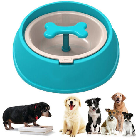 Bol Anti-gorgement Anti-gorgement Obésité Chien Chien Chat 0.4l