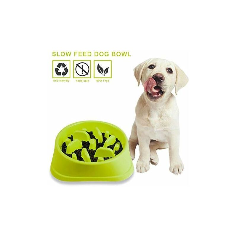 Bol de nourriture pour animaux de compagnie labyrinthe antidérapant - favorise une alimentation saine et une digestion lente verte