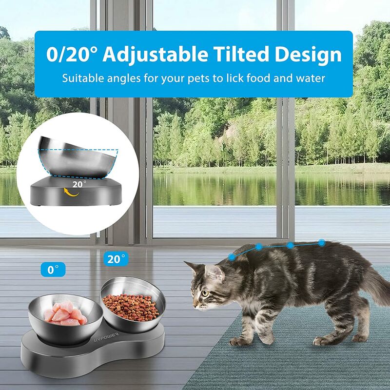 Bol surélevé pour chien et chat Bol de nourriture pour chat surélevé incliné à 20° avec 2 bols pour chien en acier inoxydable de 20 onces matériau de