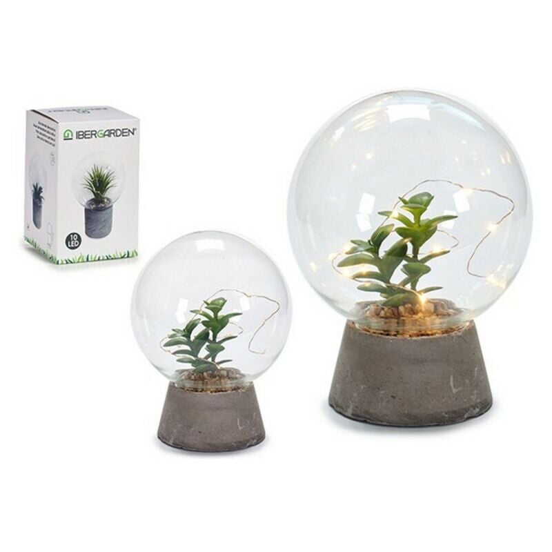 

Bola Cristal Piedra Plants