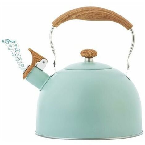 Bollitore con fischietto da 2,5 l con manico ergonomico, bollitore in acciaio inossidabile, bollitore a induzione, bollitore con fischietto per tutti i fornelli a gas