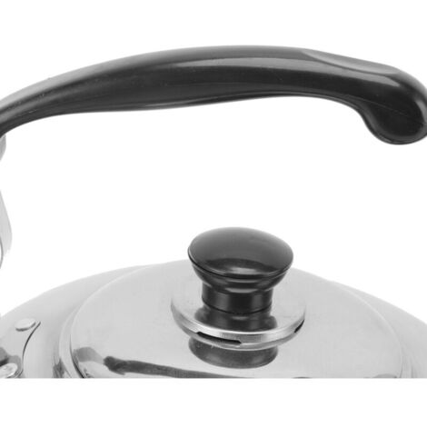 Bollitore da tè di grande capacità da 55 litri in acciaio inox con finitura antiruggine, comodo manico con fischietto, adatto a piani cottura a gas e a induzione.