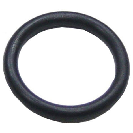 Bolsa de 100 junta torica goma an-9 Ø16/10,77x2,62mm 02959