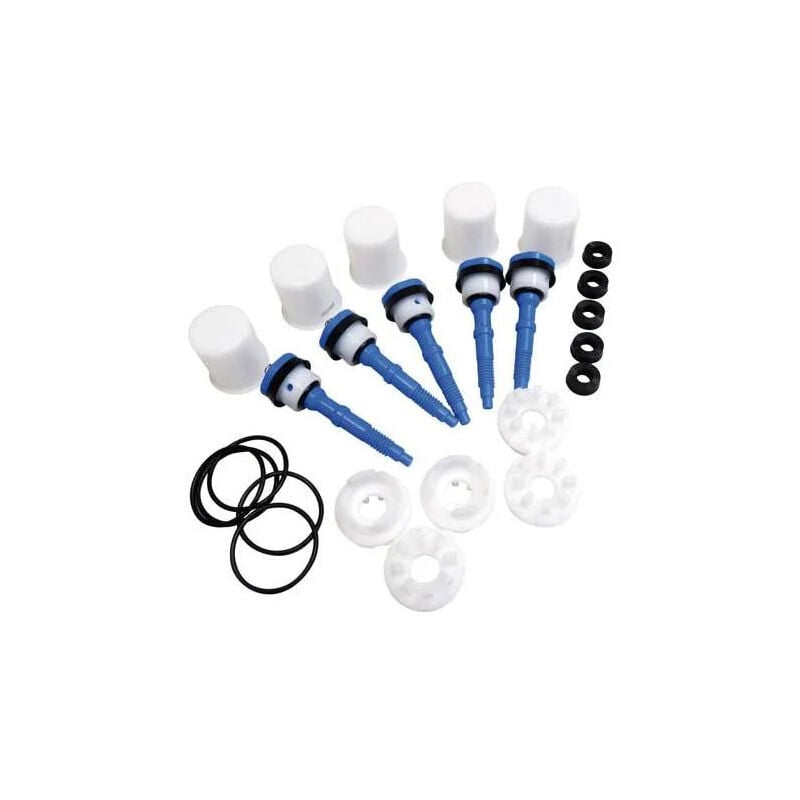 

Bolsa de 5 pistones completos azul, para PRESTO 520.530
