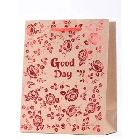 Bolsa Kraft Grande CANPOL: perfecta para regalo, ecológica