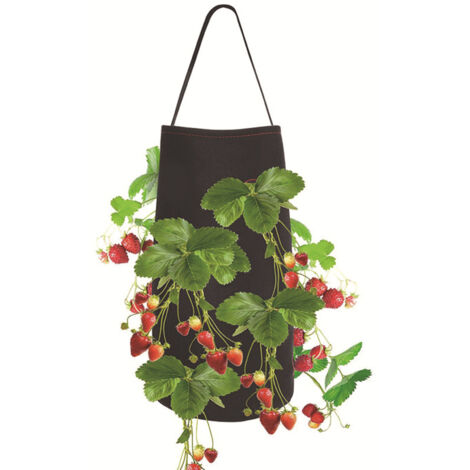 Bolsas de cultivo para fresas de 38 x 23 cm, con 8 orificios de cultivo, macetas colgantes, transpirables y con asas.