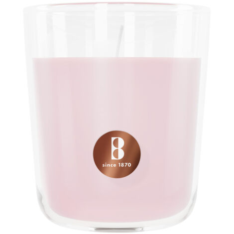 Bolsius Duftkerze True Scents Magnolie 10 cm im Glas