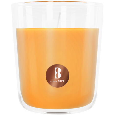 Bolsius Duftkerze True Scents Mango 9 cm im Glas