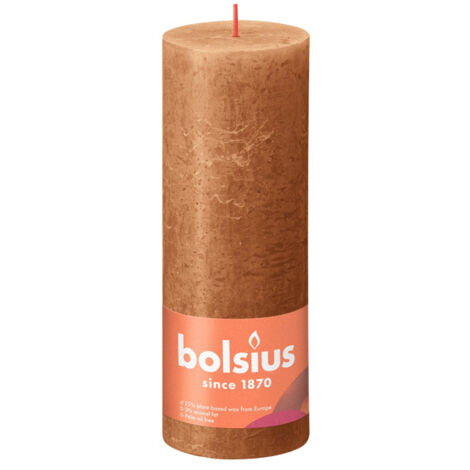 Bolsius Kaars 19x6,8 cm Bruin épicé