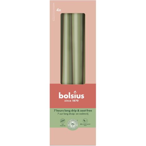 Bolsius Spitzkerzen olive 24,5 cm Ø 2,4 cm 4 Stück