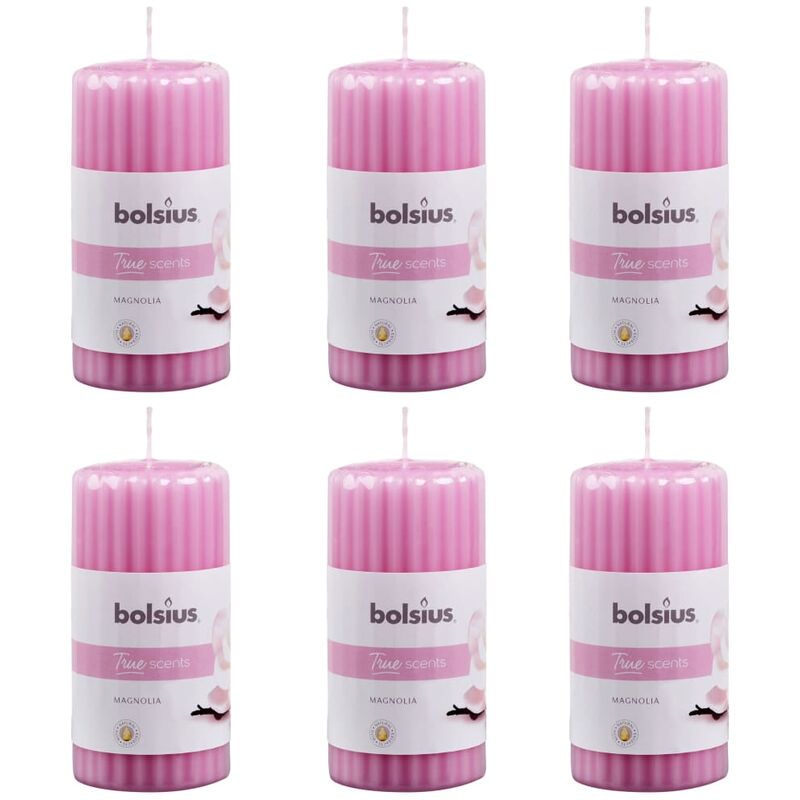 

Velas perfumadas estriadas 6 unidades magnolia 120x58 mm - Rosa - Bolsius