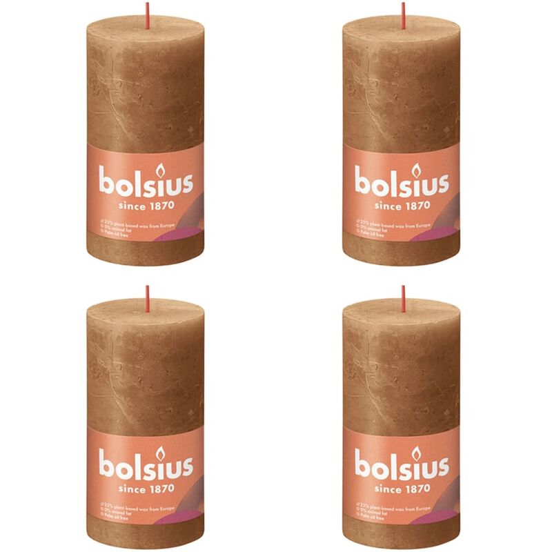 

Velas rústicas Shine 6 unidades marrón especiado 130x68 mm - Marrón - Bolsius