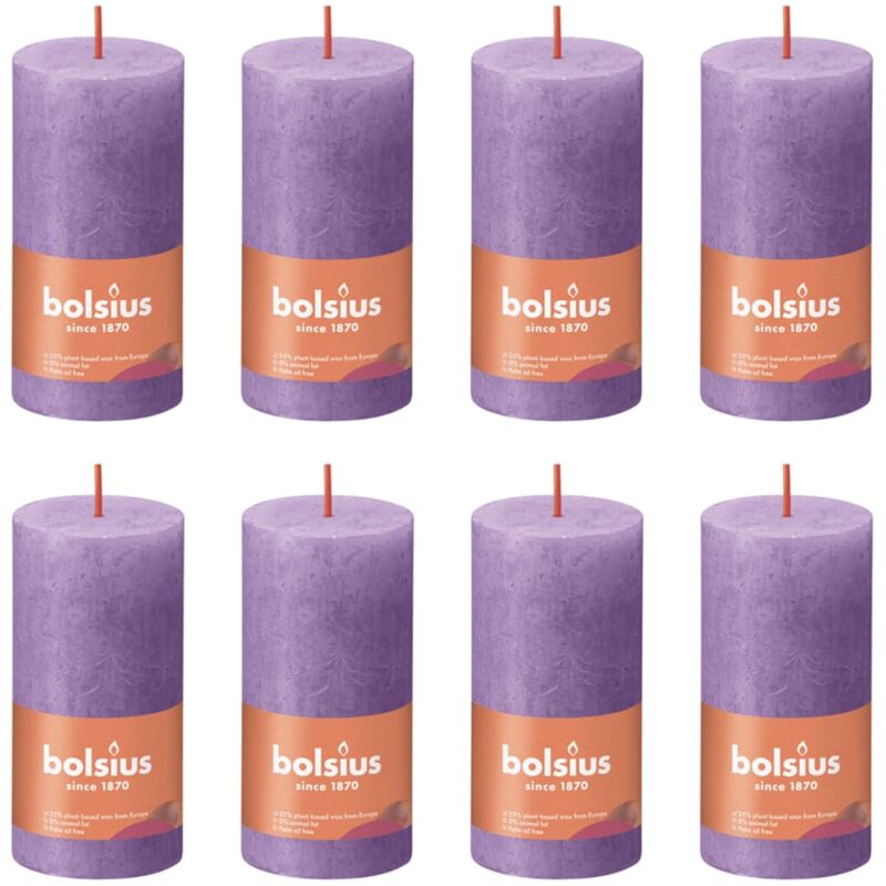 

Velas rústicas Shine 8 unidades violeta vibrante 100x50 mm - Púrpura - Bolsius