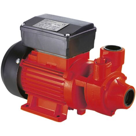 Bomba de transferencia diesel Ribimex PRPC115