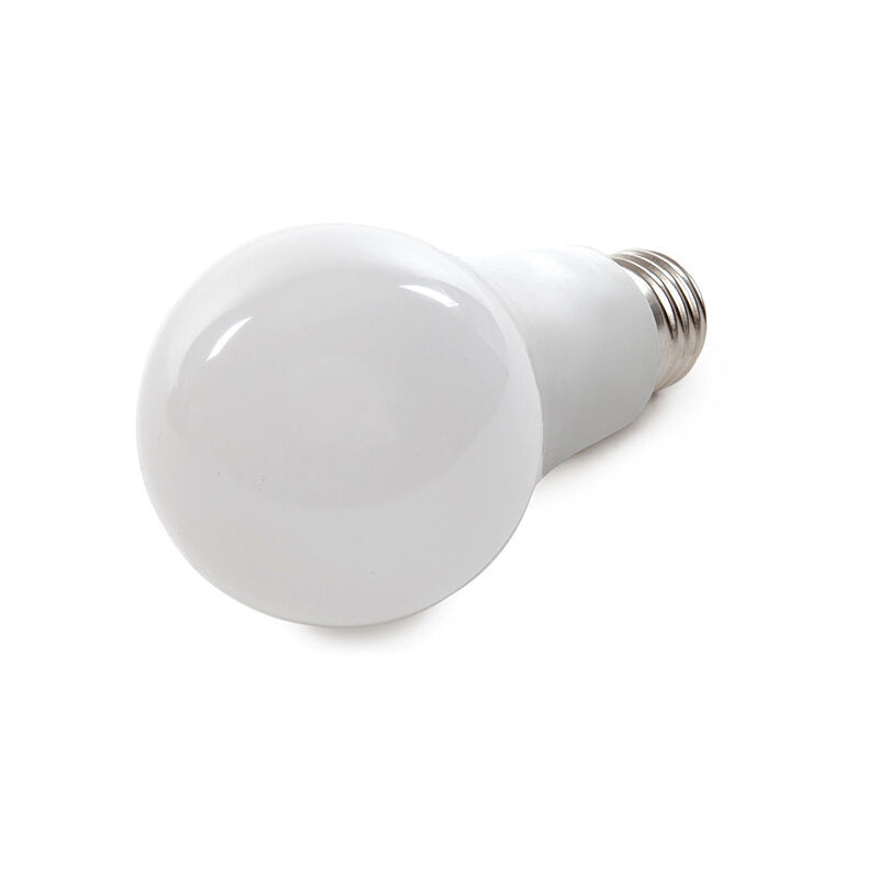 

Bombilla LED E27 7W 900Lm 6000ºK 50.000H [HO-NB-E27-7W-CW] | Blanco Natural (HO-NB-E27-7W-CW)