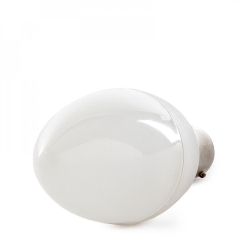 

Bombilla LED B15 5W 410Lm 6000ºK 30.000H [HO-C37-B15-5W-RC-CW] | Blanco Frío (HO-C37-B15-5W-RC-CW)