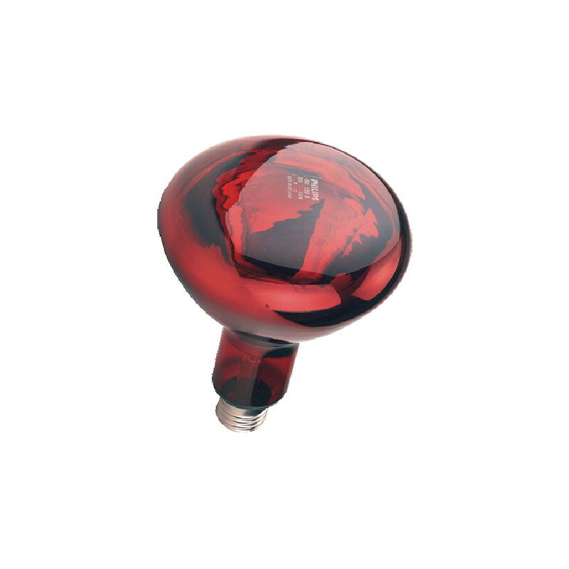 

Bombilla Infrarrojos Philips 150 W, Roja - Kerbl