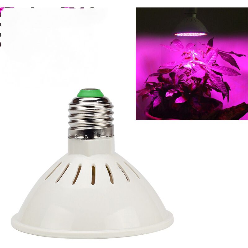 

Bombilla LED hortícola E27 de espectro completo - Lámpara de crecimiento y floración para cultivo de plantas en interiores - 15W