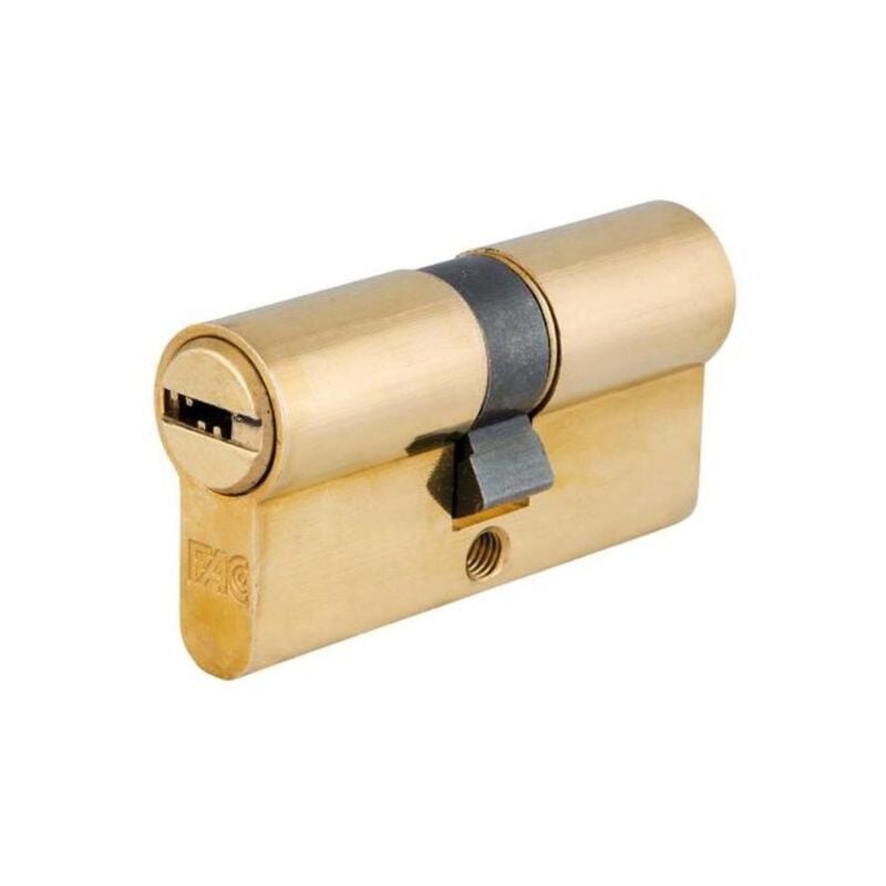 

fac cilindro europerfil seguridad 60p 30x30 r 13.5 laton 23009 - Mibricotienda