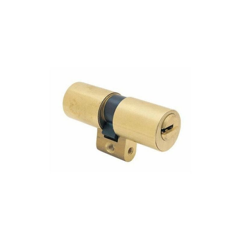 

Bombillo T60 Perfil Suizo 43 X 43 Laton