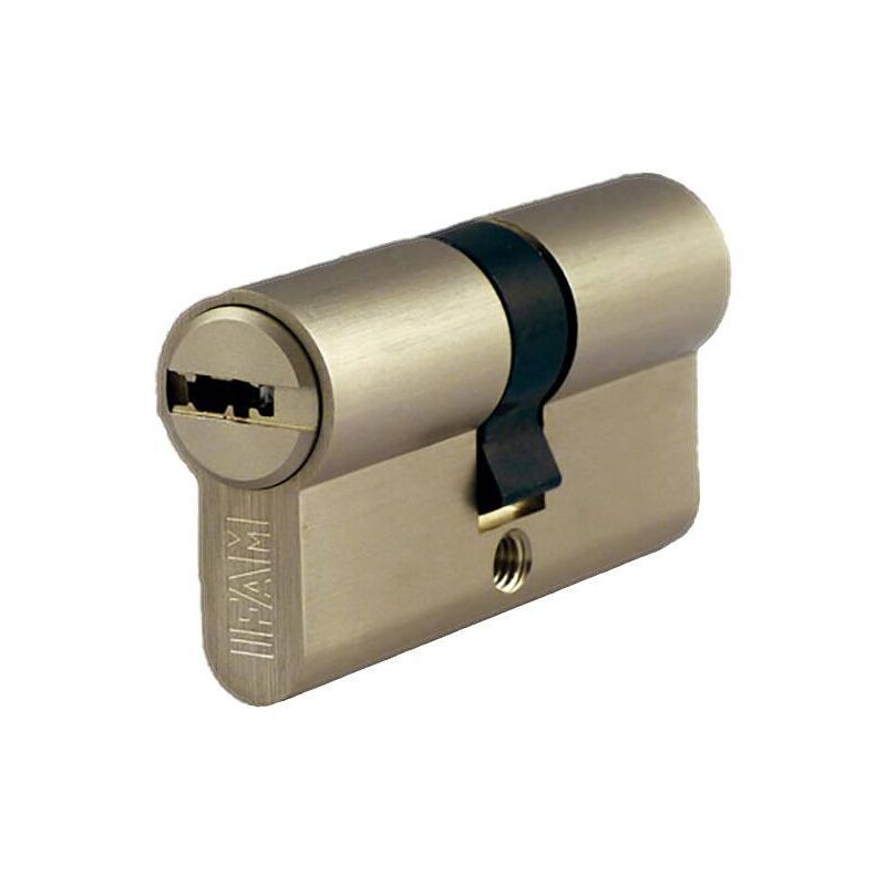 

ifam cilindro m europerfil seguridad 30x40 niquel r15 035410 - Mibricotienda