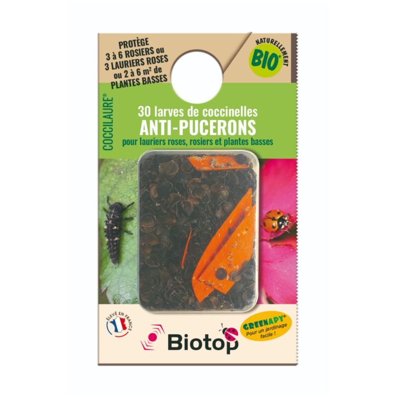 Biotop - 30 larves coccinelles coccilaure anti puceron