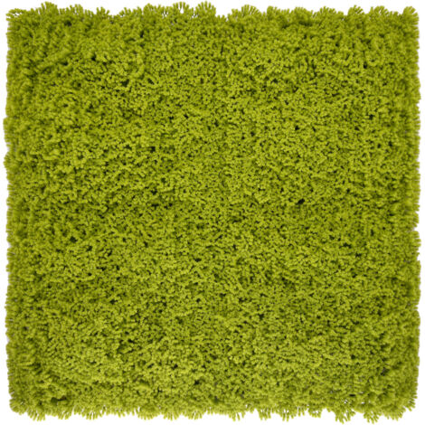 Bonerva  Jardín Vertical Indonesia Pack 4 Piezas 50x50cm