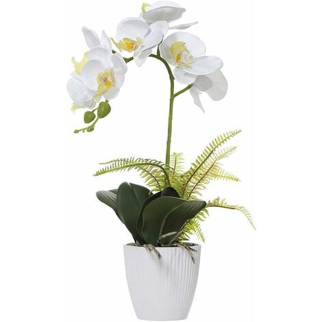 Vaso per orchidee con fori di drenaggio Cesto moderno perfetto