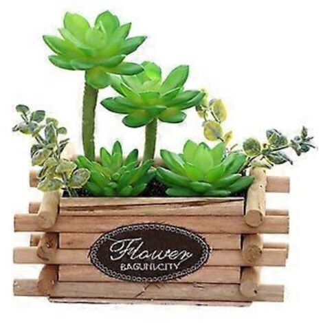 Bonsaï artificiel combinant une plante grasse et des pots en bois