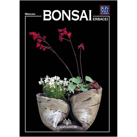 Set di attrezzi per piante grasse da 13 pezzi Kit per fioriera da giardino  Pianta da interno Bonsai Trapianto manuale