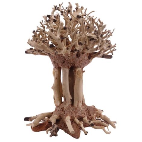 Bonsai Mammut Baum M 10x10x15 cm Wurzel Holz Aquarium Deko Aquascaping