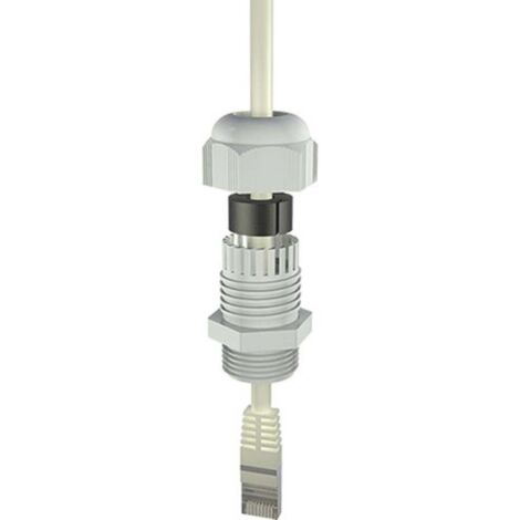 Bopla 12002404 Pressacavo filettato M25 Poliammide Grigio (RAL 7035) 1 pz.