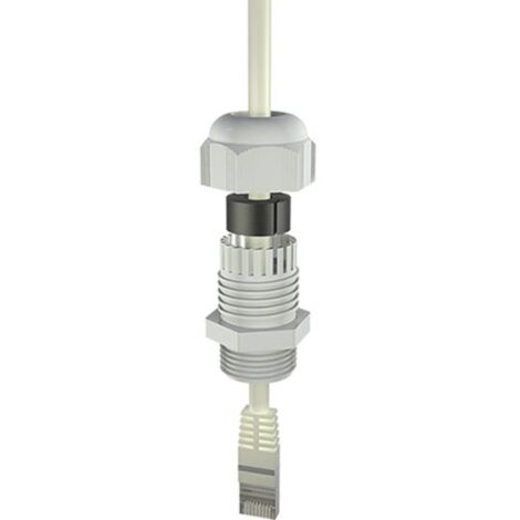 Bopla 12002418 Pressacavo filettato M20 Poliammide 6 Grigio (RAL 7035) 1 pz.
