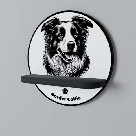 BORDER COLLIE Rundes Regal Schwarz