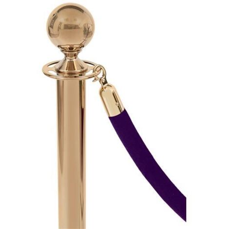 Bordure en velours violet - boucle dorée