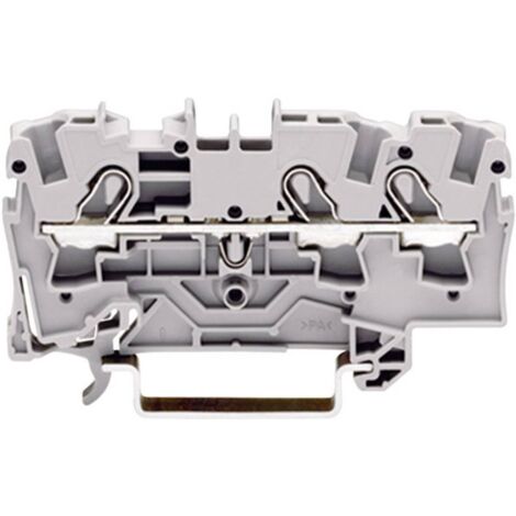 Borne pour conducteur de protection WAGO 2004-1307 6.20 mm ressort de traction Affectation: terre vert, jaune 1 pc(s) D27199