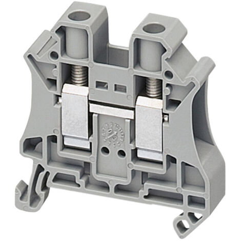 BORNE VISSEE, PASSANT, 2 POINTS, 10MM2, SCHNEIDER ELECTRIC SCHNSYTRV102