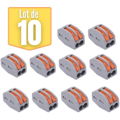 Bornes de connexion BRAYTRON - Lot de 10 - Levier