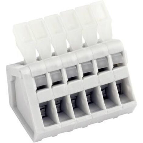 Bornier à ressort PTR Hartmann AK3191/10KD-2.5 53191101001D 0.50 mm² Nombre de pôles 10 gris galet 1 pc(s) D25732